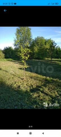 Участок 8 сот. (СНТ, ДНП)