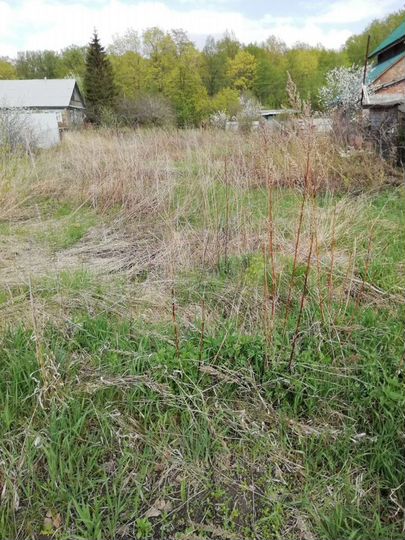 Дом 45,8 м² на участке 15,6 сот.