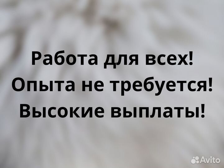 Мойщики вахта