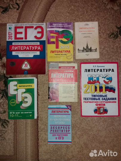 Экзаменационные пособия по литературе