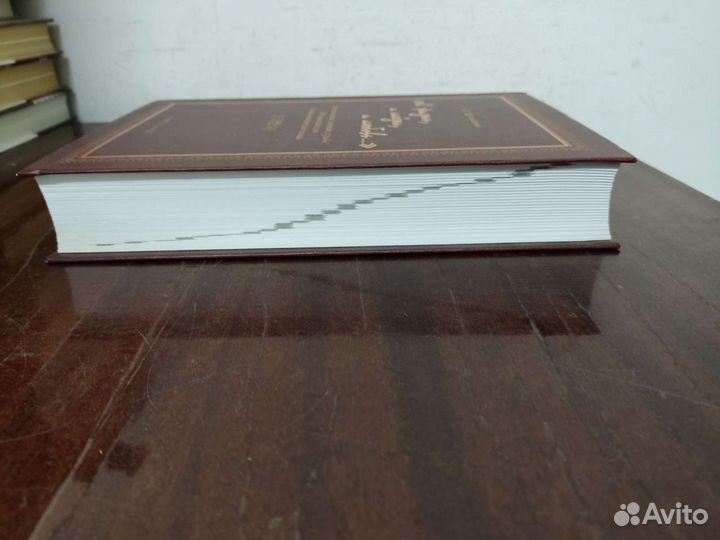 И жизнь и слезы, и любовь. С. Г. Шулежкова