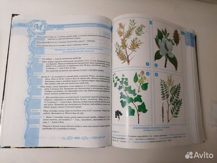 Большая энциклопедия народной медицины