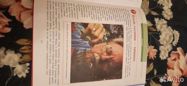 Детская энциклопедия