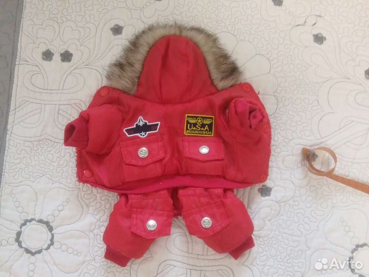 Одежда для собак мелких пород