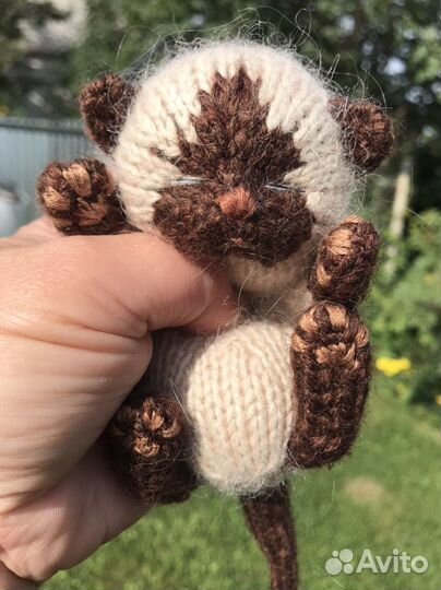 Вязанный котенок сиамской породы