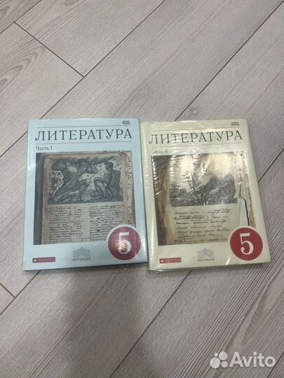 Учебник По литературе 5 класс 1 и 2 часть