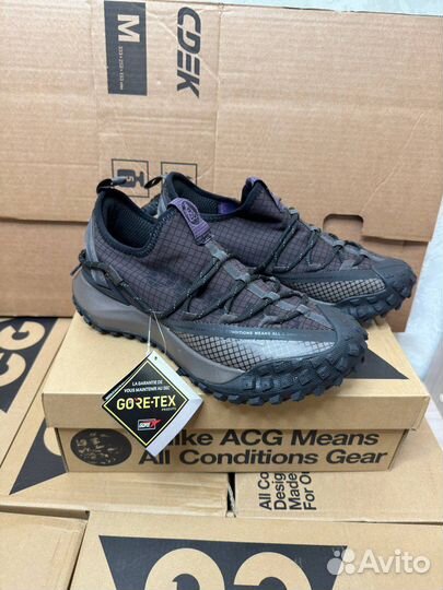 Кроссовки Nike ACG Mauintain Fly 1 Low Gore-Tex