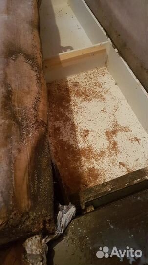 Уничтожение тараканов. Травить клопов. Дезинфекция