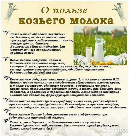 Молоко козье,яйца,тушёнка