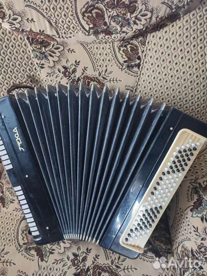 Баян тульский