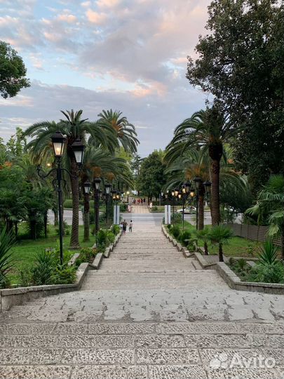 Тур в Абхазию из Адлера / Золотое Кольцо / Рица