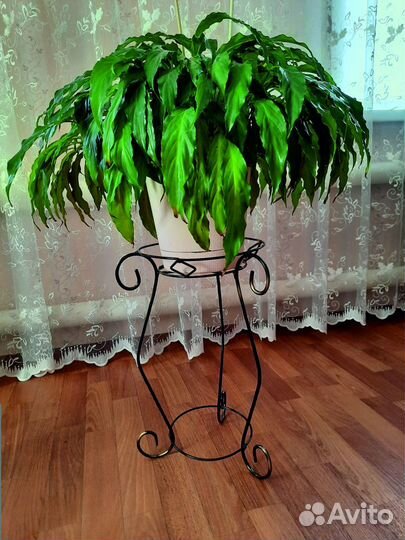 Подставки для цветов