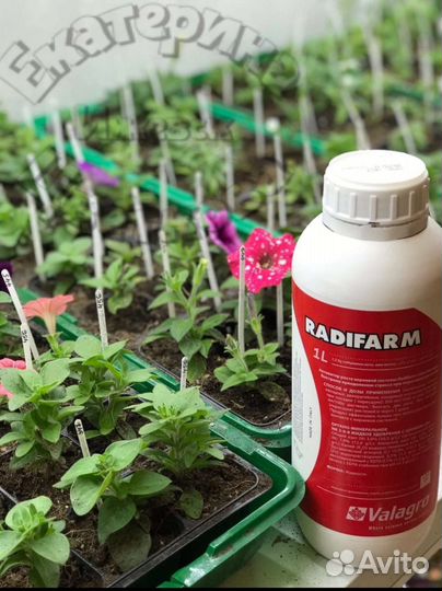 Radifarm. Стимулятор роста корневой системы