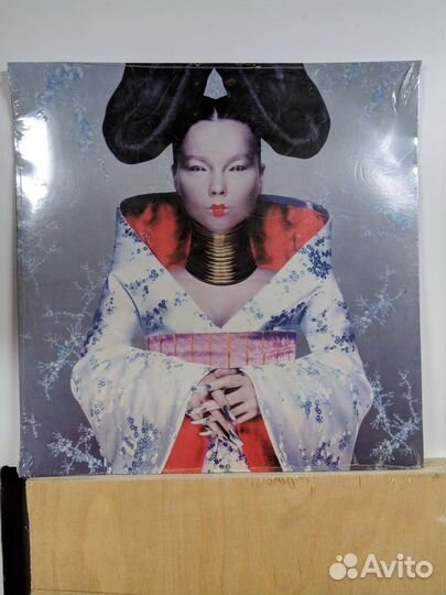 Bjork homogenic LP