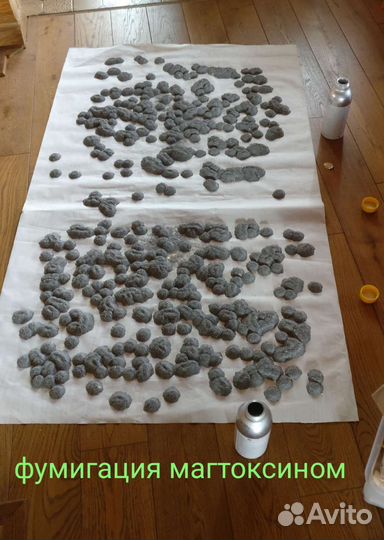 Уничтожение насекомых