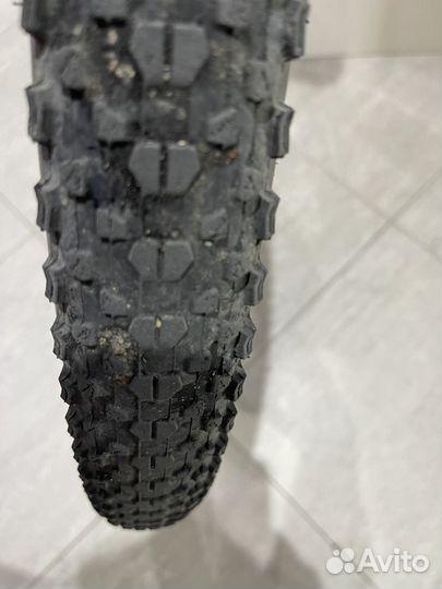 Покрышки вело 29, 24 maxxis ikon, CST jack rabbit