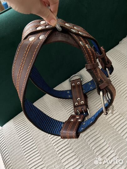 Шляйка для собак