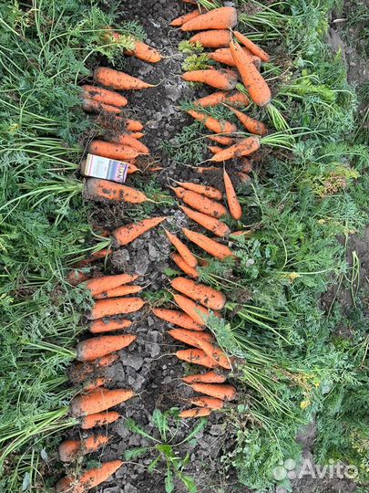 Доставка овощей и фруктов