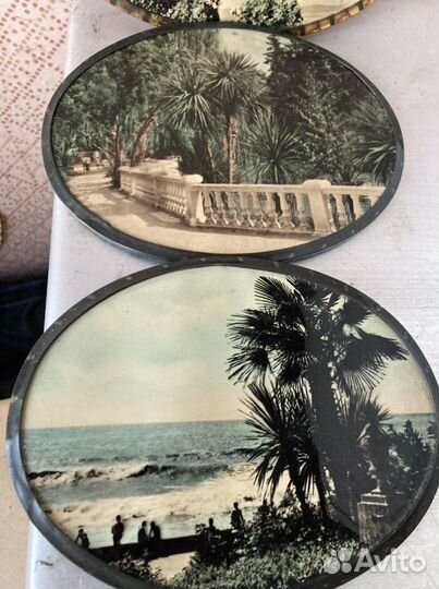 Настенная репродукция Сочи