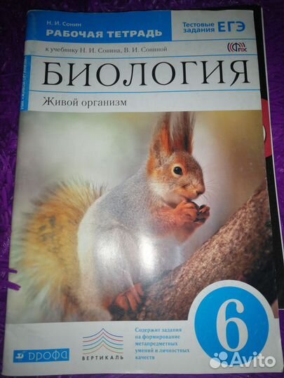 Рабочая тетрадь за 6 класс