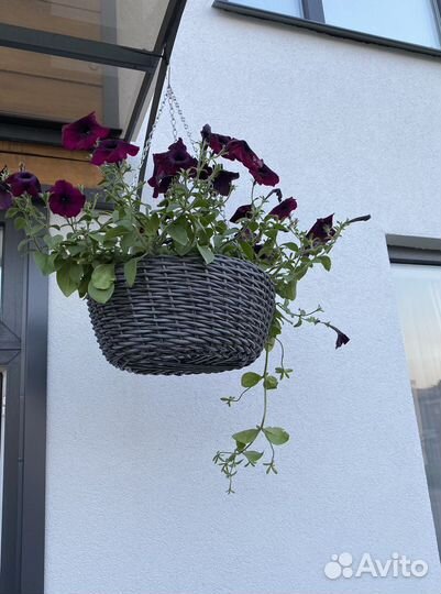 Кашпо из ротанга