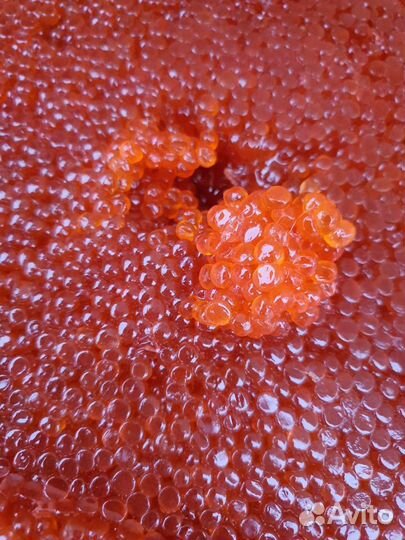 Икра красная (Горбуша, Кета) Камчатская