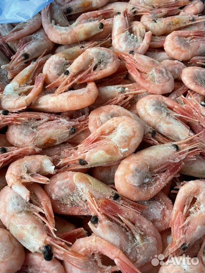 Креветки северные (Гренландия)