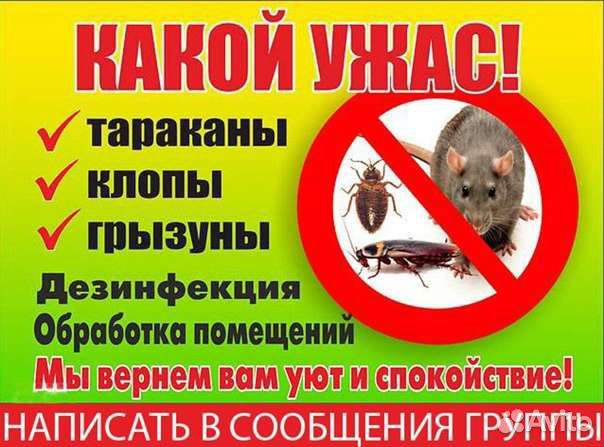 Уничтожение тараканов/клопов/мышей. Дезинсекция
