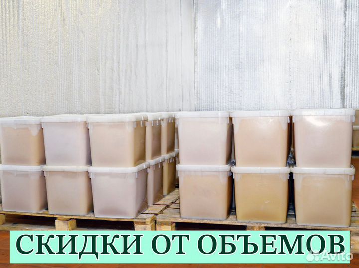 Мёд оптом в ассортименте