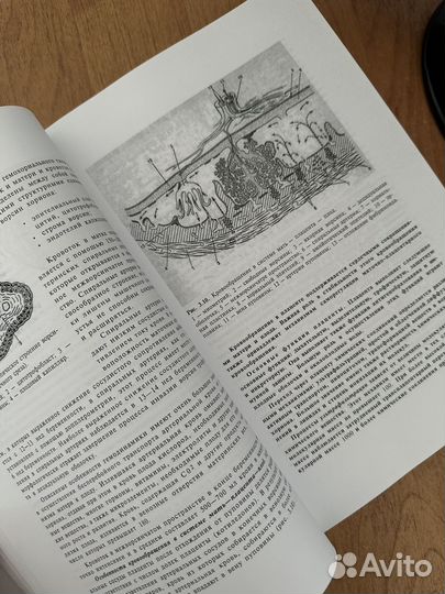 Акушерство Учебник Савельевой