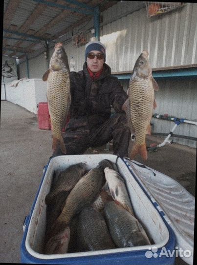 Ищу инвестора в рыболовную отрасль