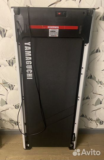 Беговая дорожка Yamaguchi runway