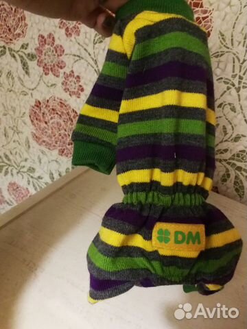 Комбинезон и шлейки для щенков мелких пород