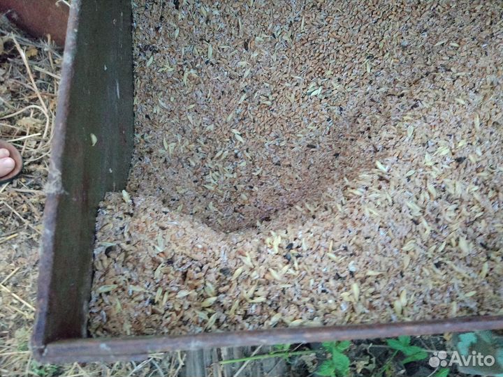 Ларь для зерна