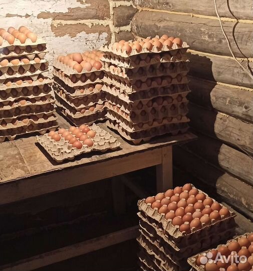 Яйца деревенские