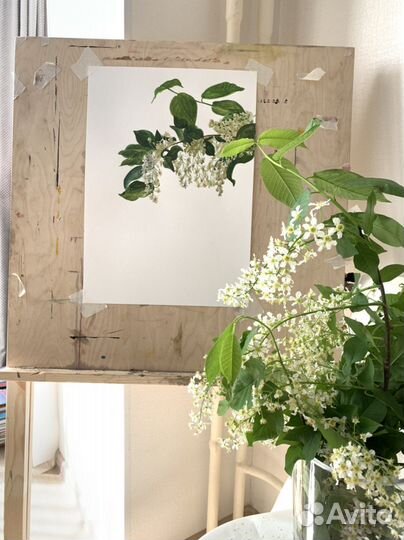 Преподаватель, репетитор по рисованию, художник