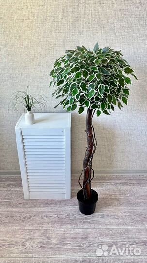 Искусственные деревья, цветы, фикус, манго