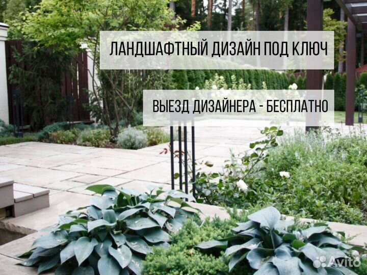 Ландшафтный дизайн / благоустройство сада