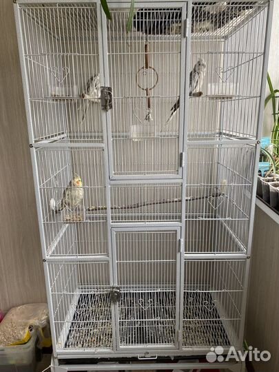 Клетка-вольер для птиц и грызунов
