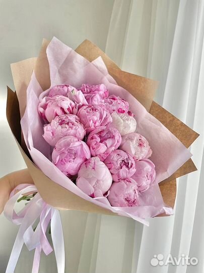 Пионы Сара Бернар премиум Голландия