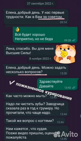 Свой заводчик