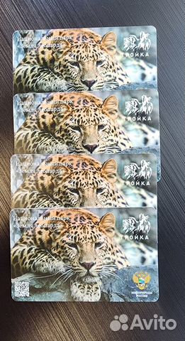 Коллекционная карта тройка Панда катюша и Диндин