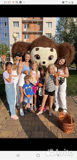 Панда поздравление