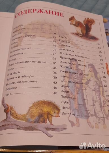 Детская энциклопедия: Что Отчего Зачем