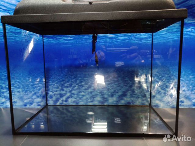 Аквариум на 50 л. В Кемерово