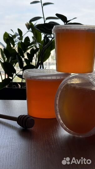 Липовый мёд из д. Липовка (Кировская обл.)