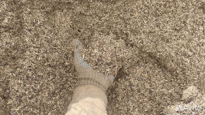 Лузга подсолнечника