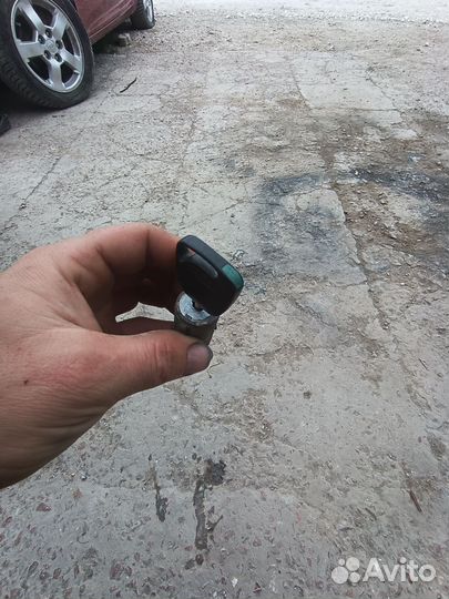 Личинка с ключом