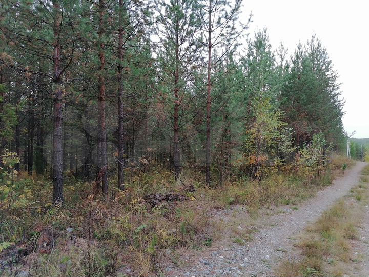 Участок 17 сот. (ИЖС)