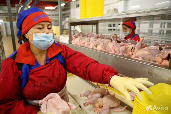 Оператор линии Вахта Тверь Питание Проживание